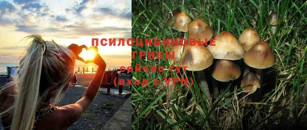 не бодяженный Киреевск
